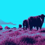 ethical infrastructure